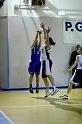 Basket 242006